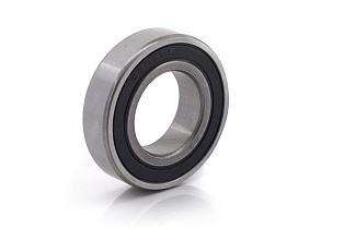 180110 (6010 2RS) DPI